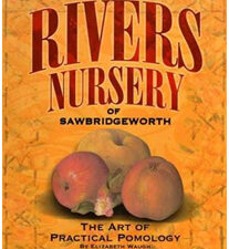 Rivers Nursery of Sawbridgeworth